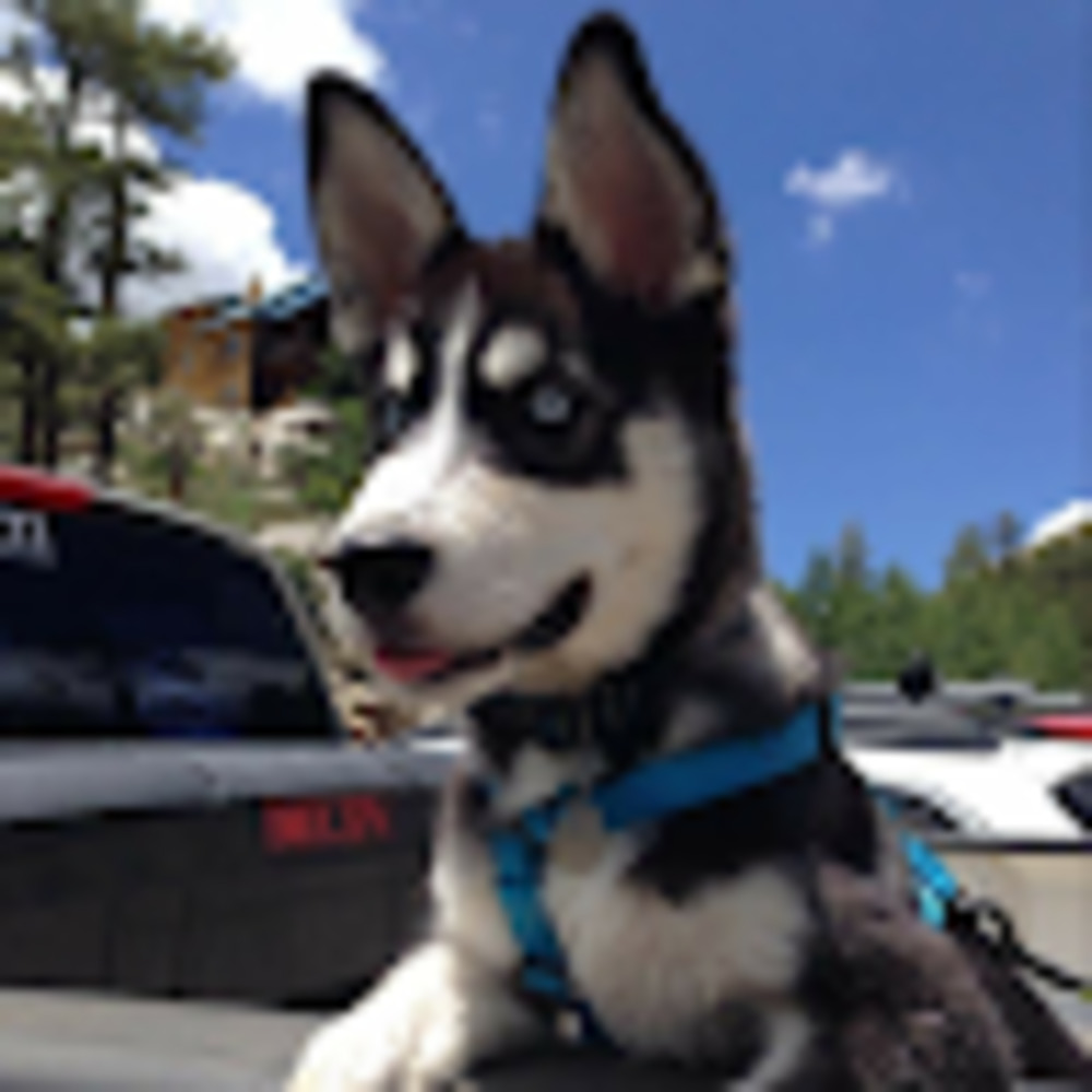 Meet your Posher, Justine